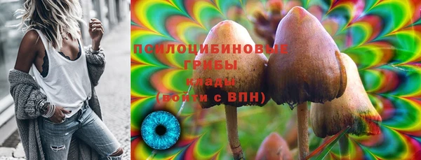 круглые Аркадак