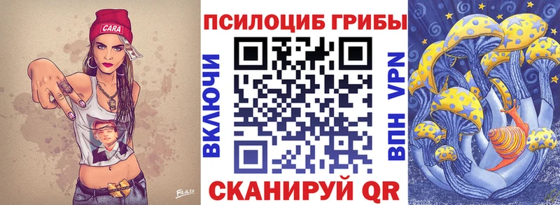 сколько стоит  Пучеж  Псилоцибиновые грибы мицелий 