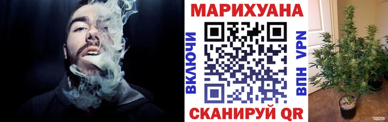 Каннабис сатива  Пучеж 